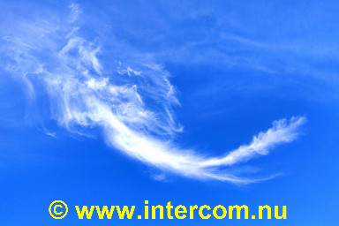 135 Thoughtful Cloud